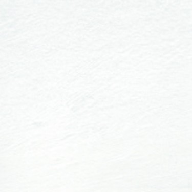 PROCOLOUR CHINESE WHITE 